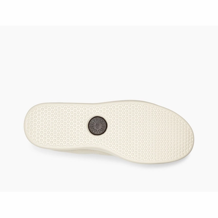 Baskets UGG Men Pismo Sneaker High Bone White 6 Baskets UGG Men Pismo Sneaker High Bone White – Image 6