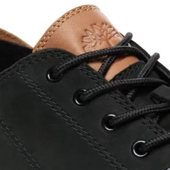 Sneaker Timberland Men Adventure 2.0 Cupsole Modern Ox Black -Baskets Soldes 7 download 21