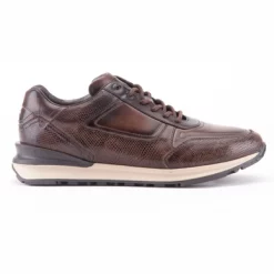 Baskets Greve Podium 3165 Sesamo Phyton Sneaker